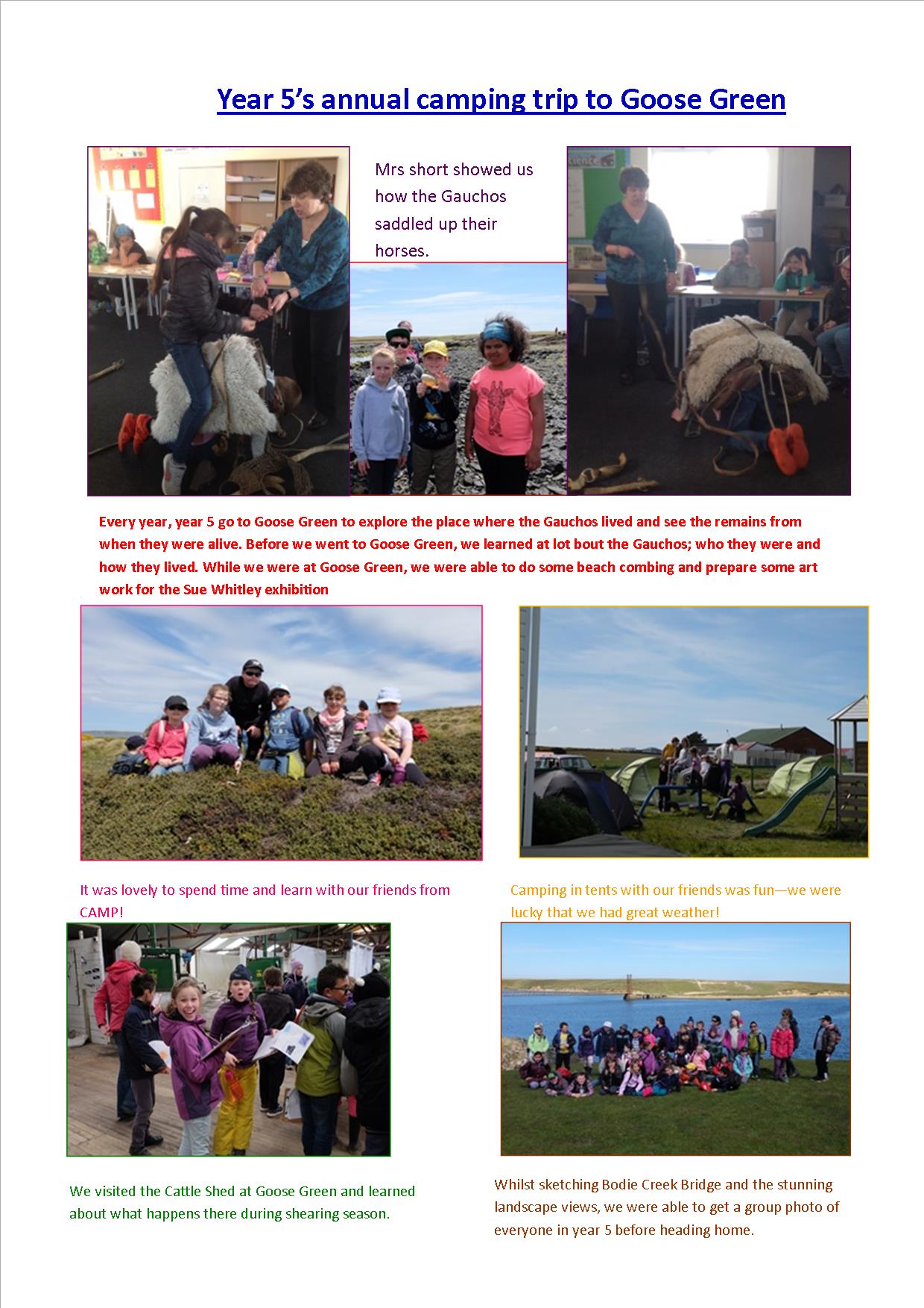 Year 5s Trip to Goose Green